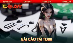 Bài Cào