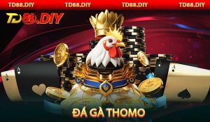 Đá Gà Thomo